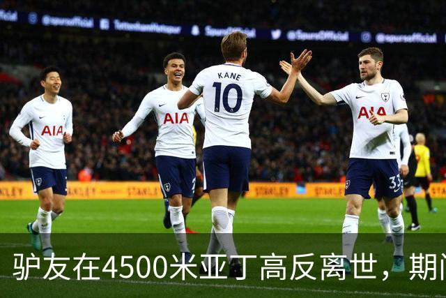 驴友在4500米亚丁高反离世，期间姐姐全网求免费直升机，牧民报价1万被她拉黑